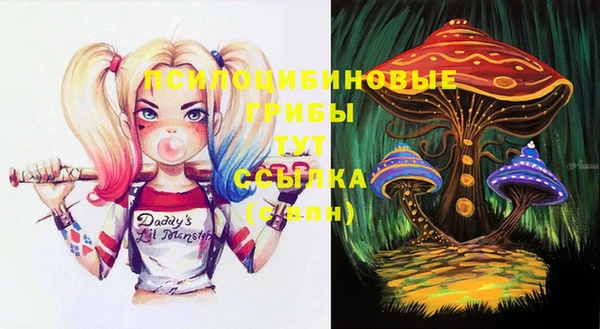 альфа пвп Алексеевка