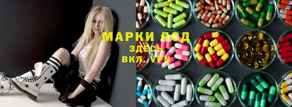 прущие грибы Алексин